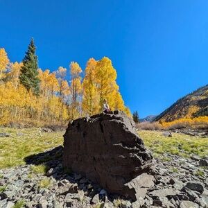 Meet your Posher, Corinna